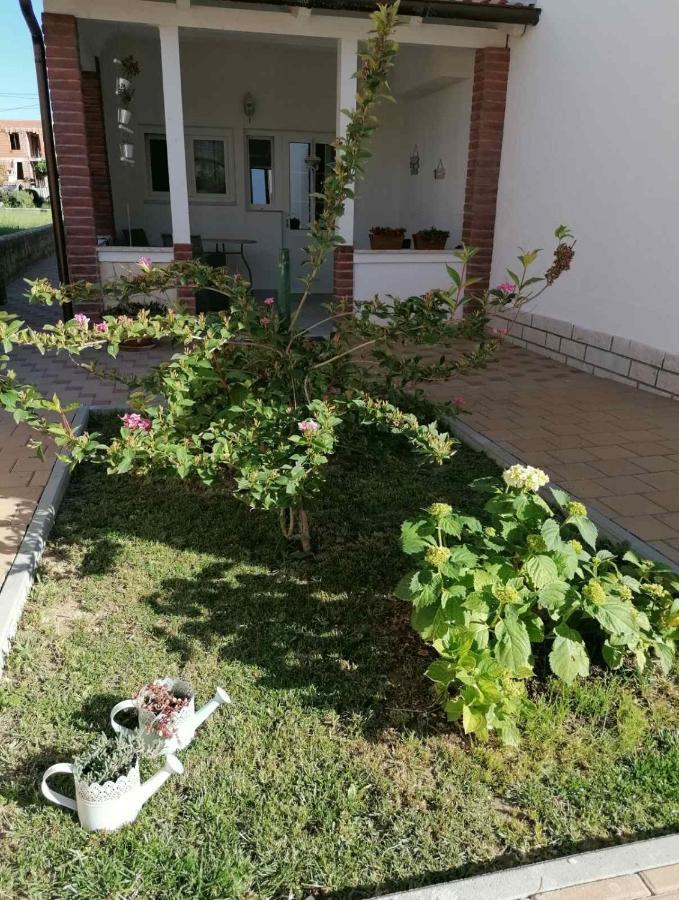Apartmani B&S Barbat na Rabu 外观 照片