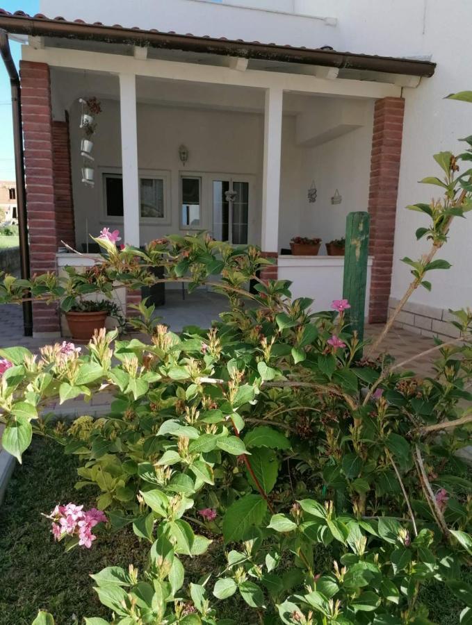 Apartmani B&S Barbat na Rabu 外观 照片