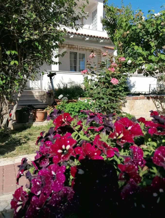 Apartmani B&S Barbat na Rabu 外观 照片